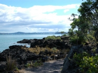 Looking back from Rangitoto