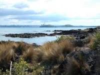 Looking back from Rangitoto