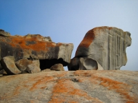 Kangaroo Island