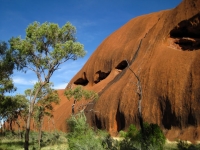 Outback