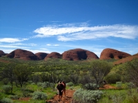 Outback
