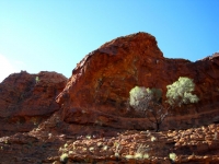 Outback