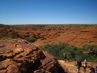 Outback