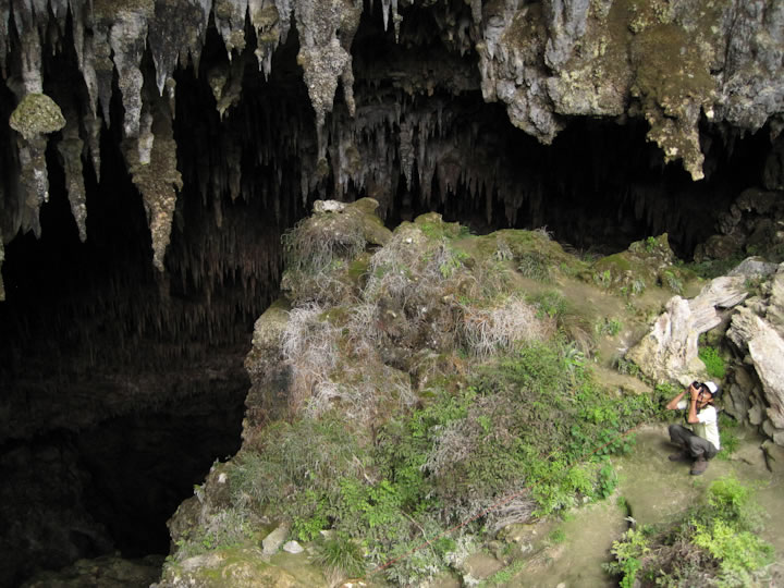 Rawhiti Cave 2