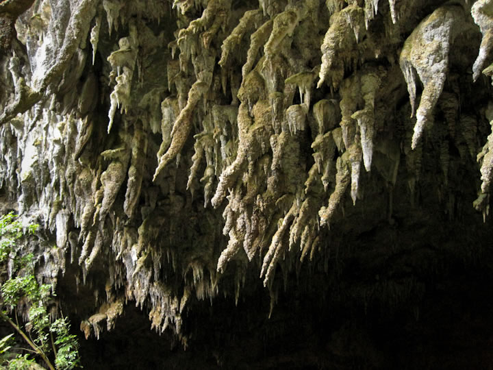 Rawhiti Cave 3