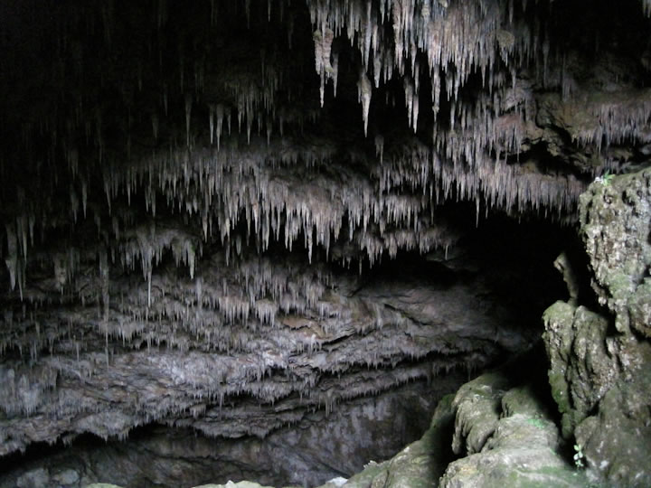 Rawhiti Cave 4