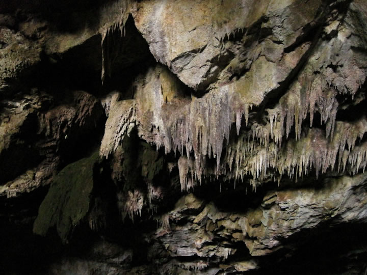 Rawhiti Cave 5