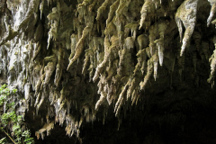 Rawhiti Cave 3