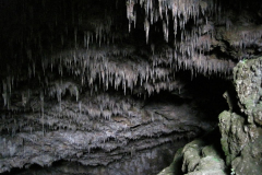 Rawhiti Cave 4