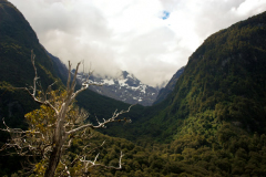 MilfordRoad-FiordlandNP (23 of 23)