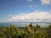 Rangitoto summit views