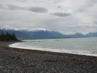 Kaikoura Peninsula Walk