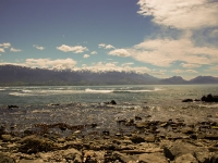 Kaikoura Peninsula Walk