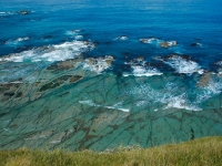 Kaikoura Peninsula Walk