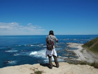 Kaikoura Peninsula Walk