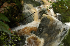 OpararaArches-OpararaBasin-Karamea (45 of 111)