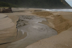 ScottsBeach (16 of 43)