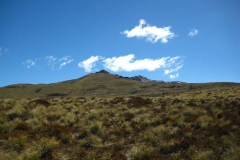 KeplerTrack-FiordlandNP (38 of 283)