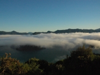 Queen Charlotte Track - Early Morning Magic