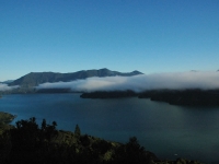 Queen Charlotte Track - Early Morning Magic