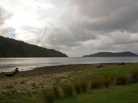 Ships Cove - Queen Charlotte Track