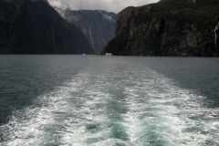 Milford Sound 5