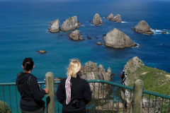 Nugget Point views