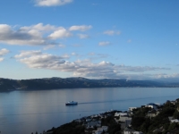 Wellington harbor