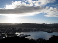 Wellington views